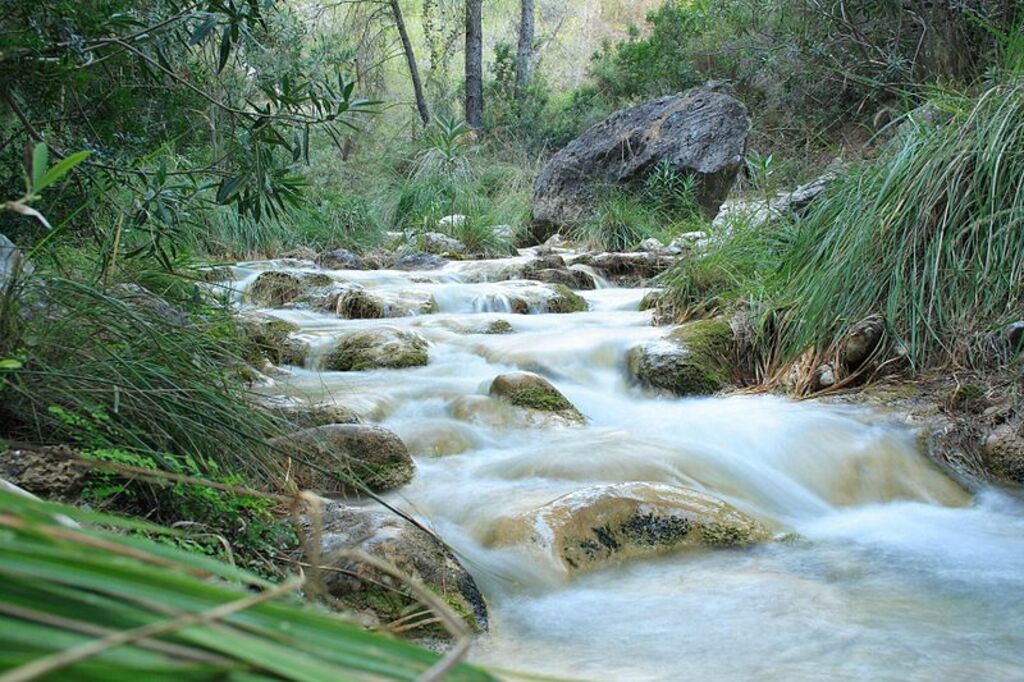 RioChillar3