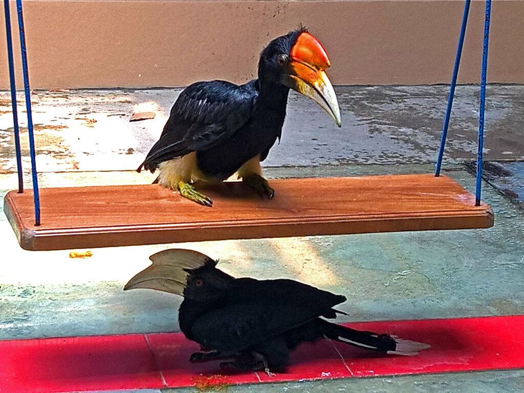 Palembang Bird Park