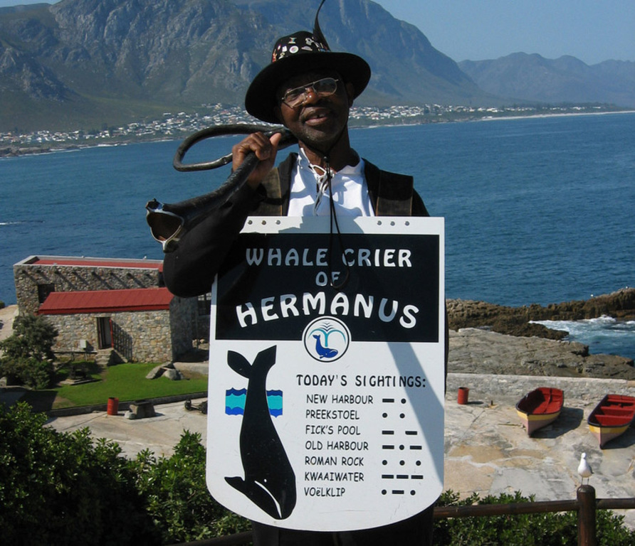 The world's only Whale Crier (at Hermanus)