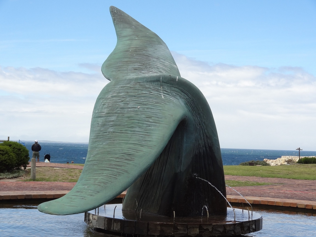 hermanus