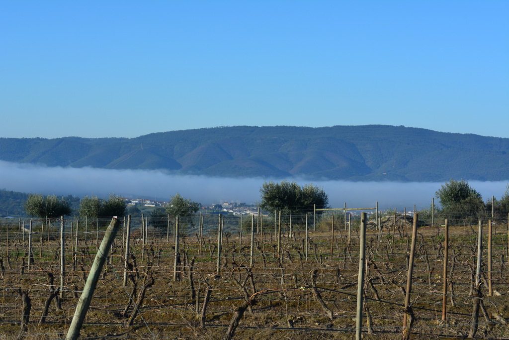 Ermida da Senhora da Vitória (Barro Branco) - Vista para a Serra d'Ossa e Campo da Batalha (2)
