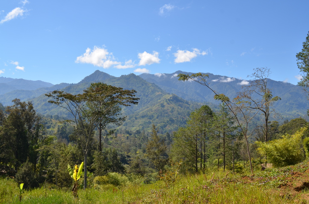 Papua New Guinea