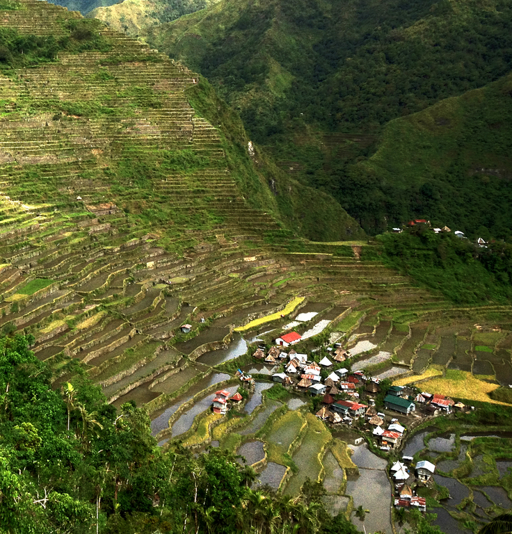 The rice terraces in Batad Village are part of the UNESCO World Heritage Site.