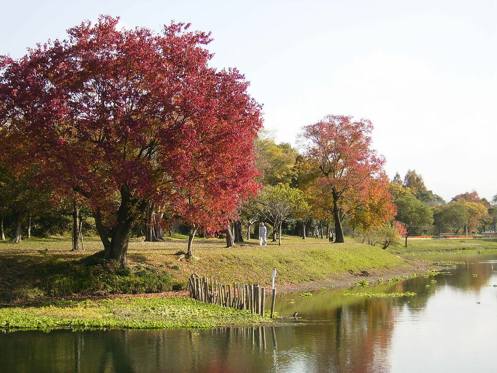 Ezuko Park
