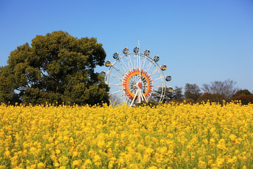 Kumamoto Zoo and Botanical Garden, Kumamoto
