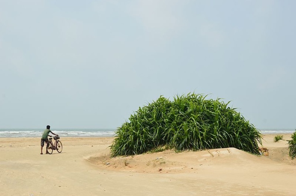 Tajpur Beach - East Midnapore 2015-05-02 9069
