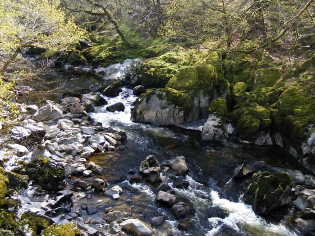 Afon Conwy below the Fairy Glen - geograph.org.uk - 1375101