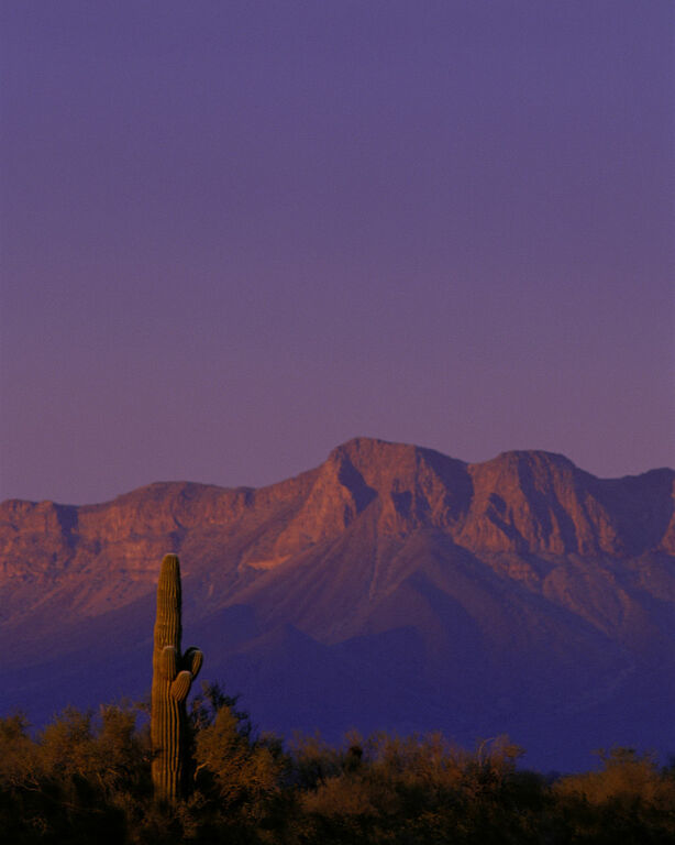 View in Cabeza Prieta National Wildlife Refuge, Arizona