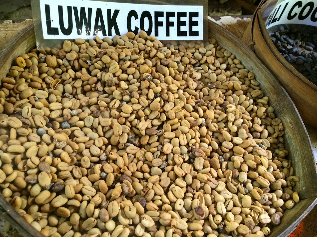 Luwak Coffee