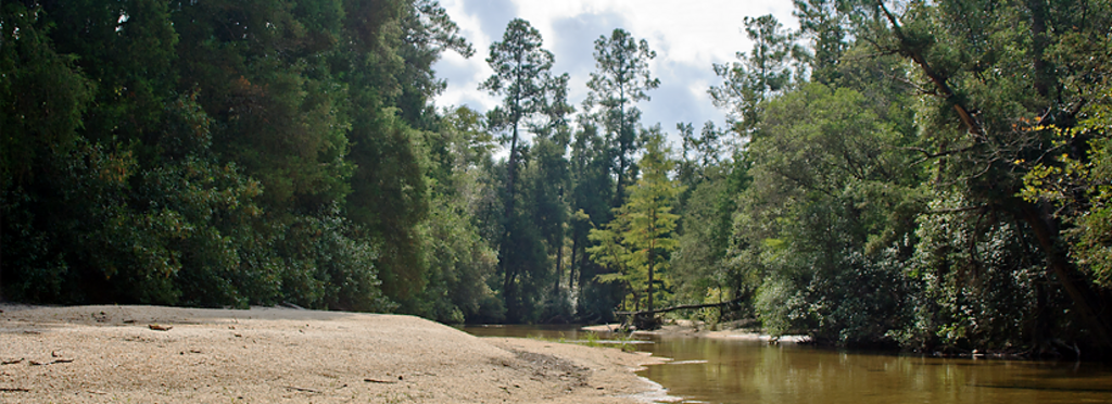 Sandbar Camp North 