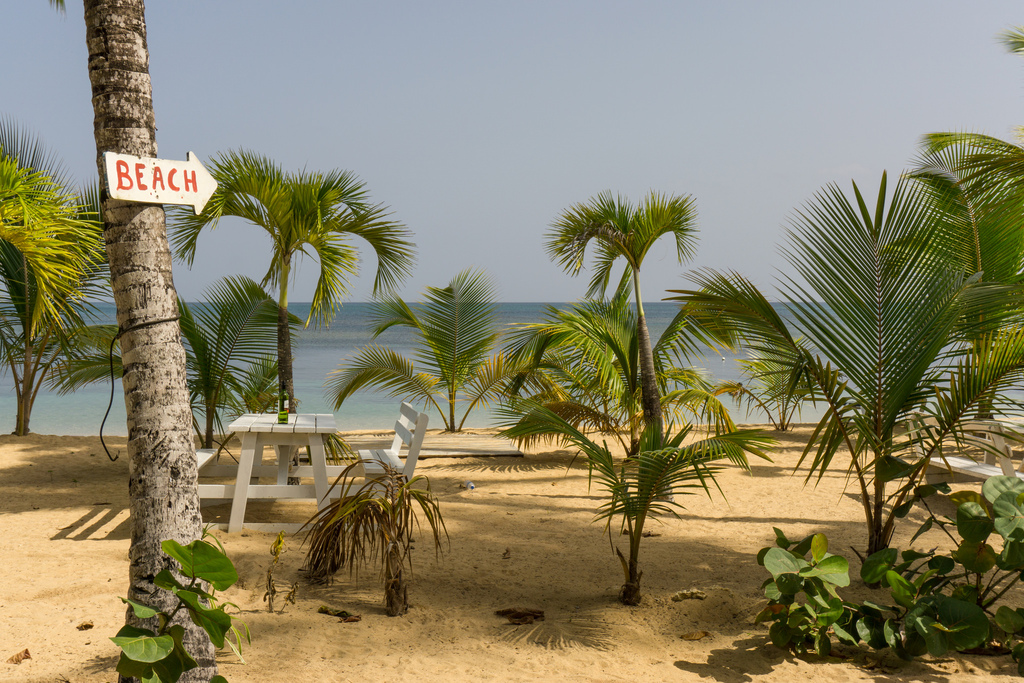 beach