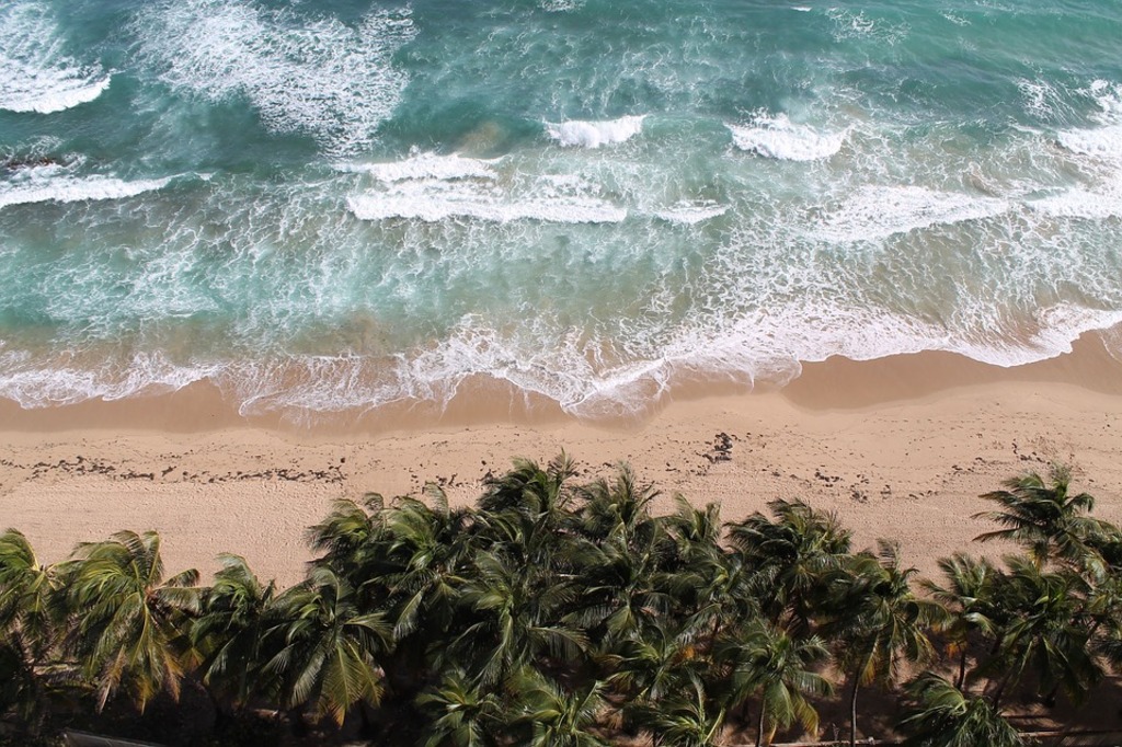 plages, bière et plus: 10 choses à découvrir à rincon, porto rico | plage des dômes