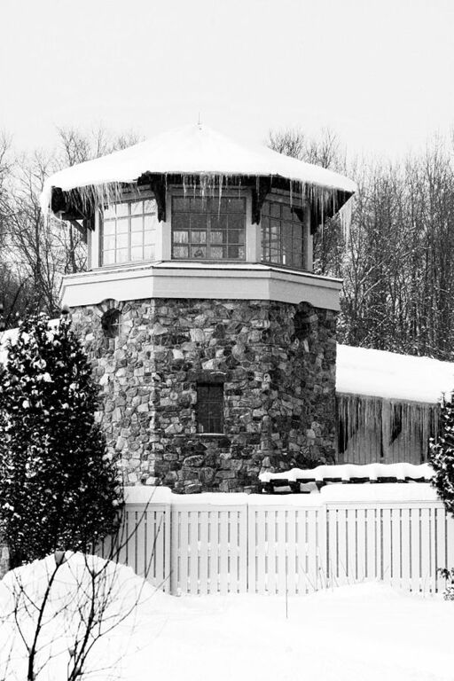 Roger Tory Peterson Institute