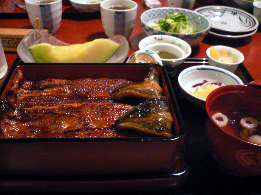 Unagi Kabayaki