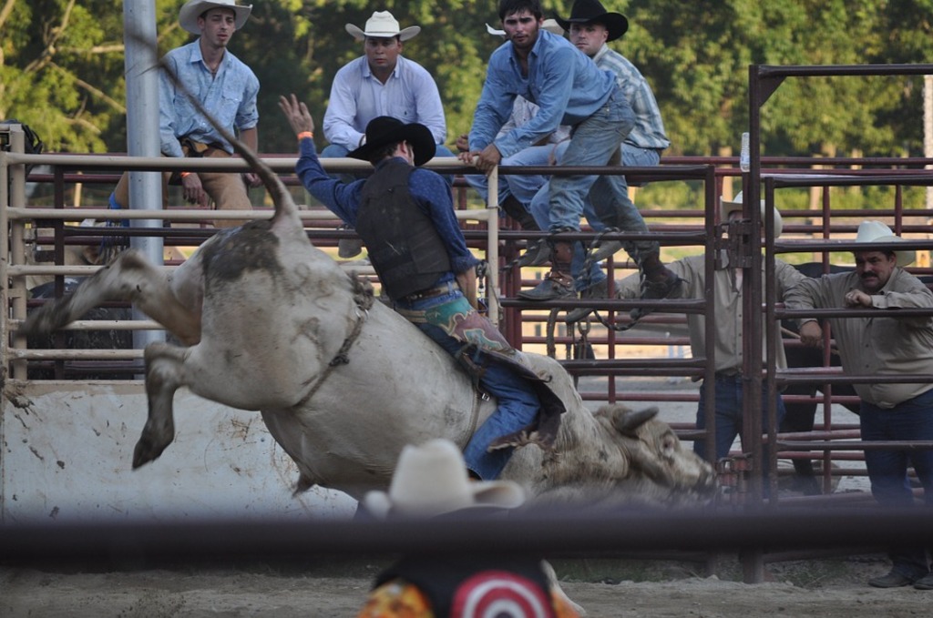 10 choses qui font la célébrité de texas | rodéos