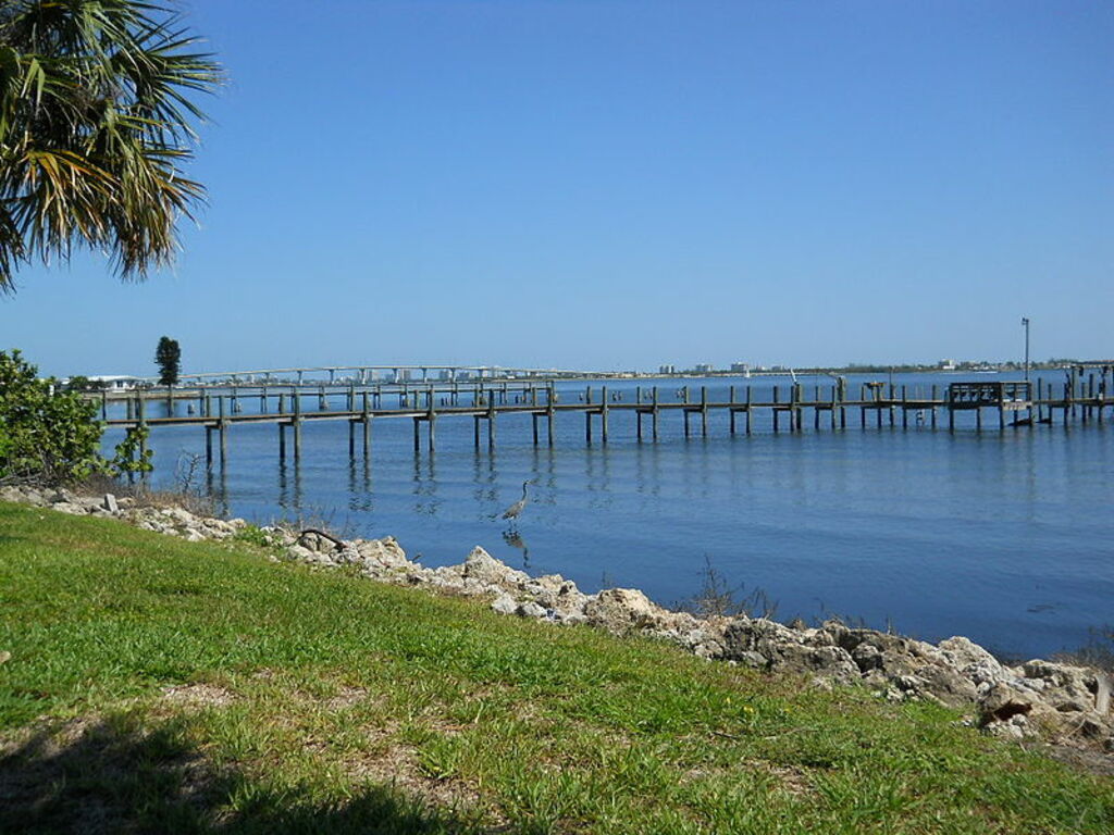 Blue heron, Indian River Lagoon, Jensen Beach, Florida 052