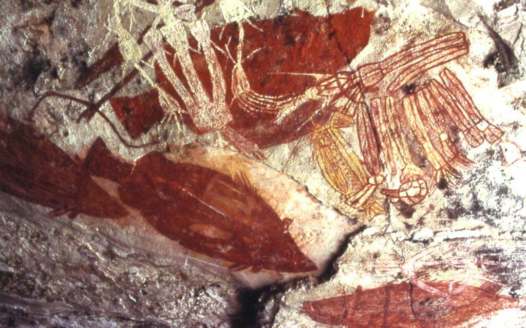 Aboriginal paintings, Kakadu National Park, Northern Territory, Australia - National Estate0002