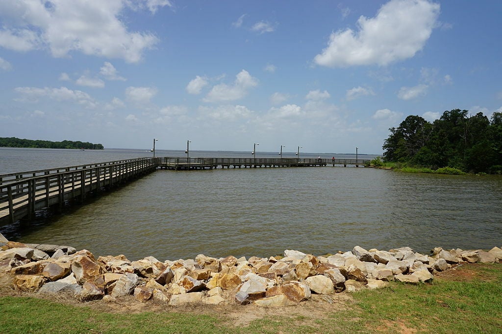Cooper Lake State Park July 2015 2