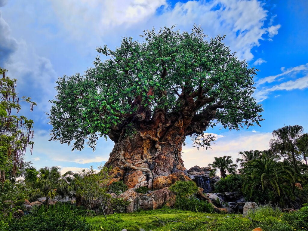 Disney Animal Kingdom (27589660700)