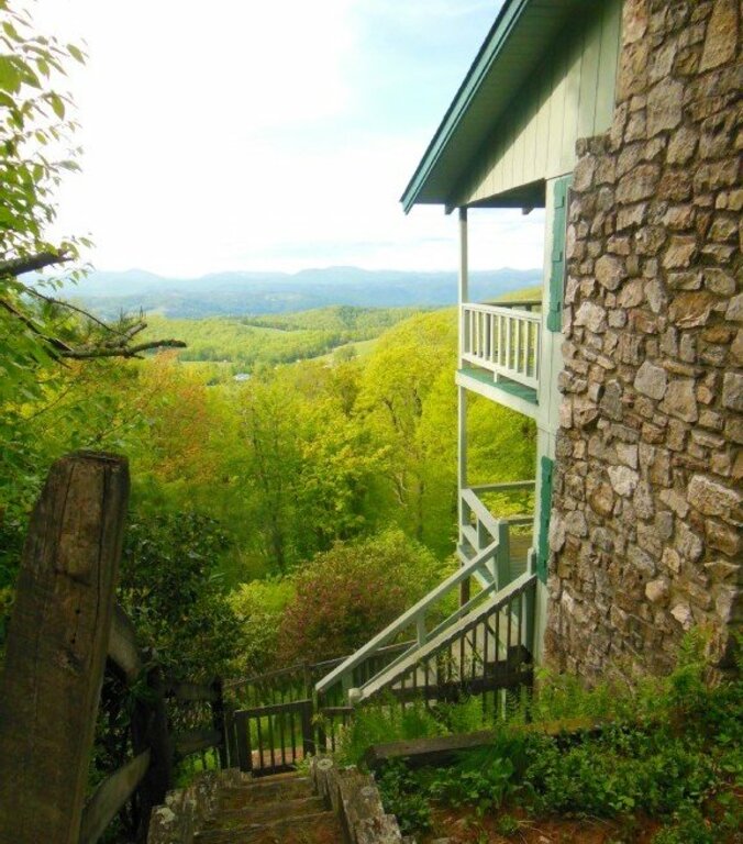 Evergreen view from the loft