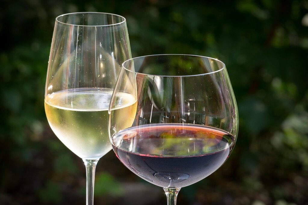 Wine Tasting