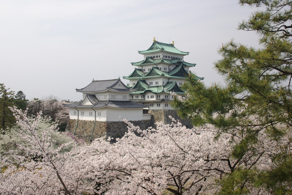 080405 nagoya csl sakura