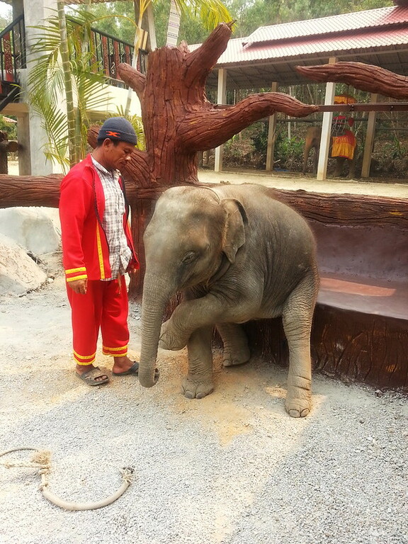 Chang Puak Camp