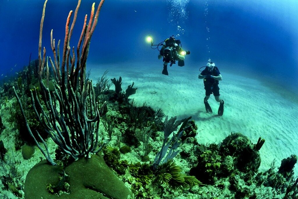Scuba divers enjoying the underwater scenery.