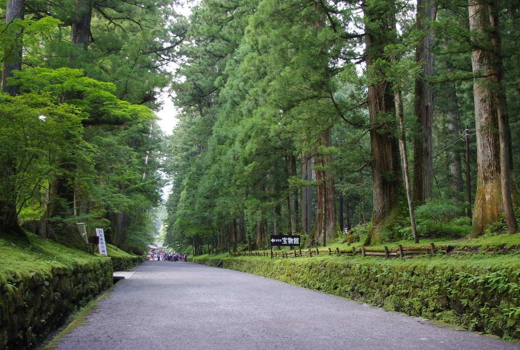 20100727 Nikko 6038