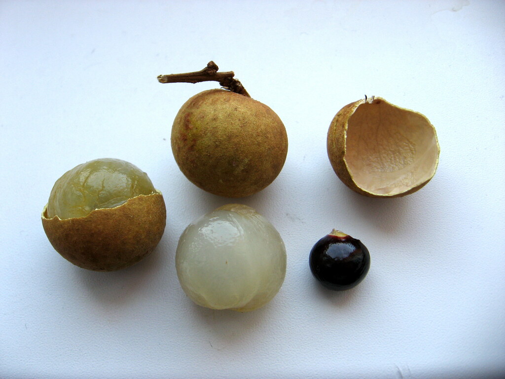 Longan (2)