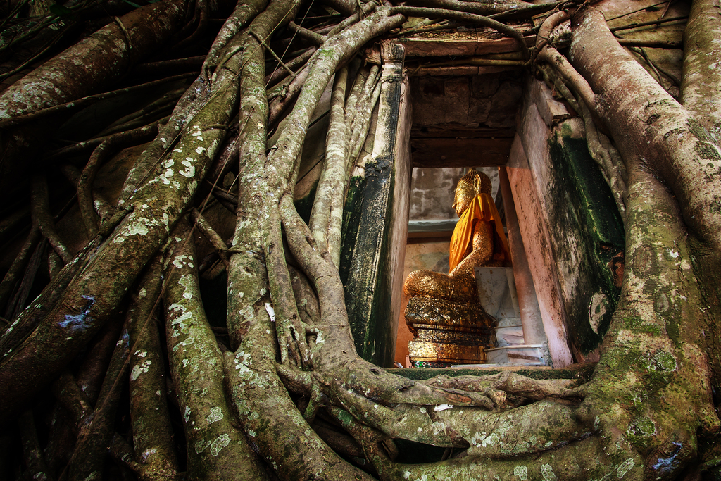 Wat bangkung 02