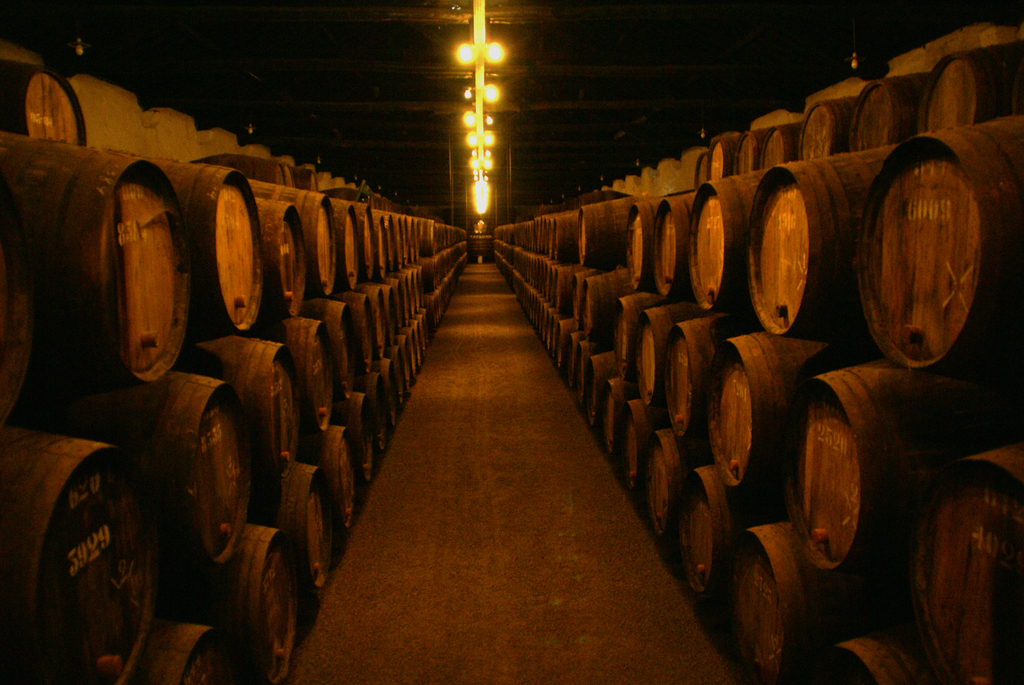 Wine cellars of taylor´s