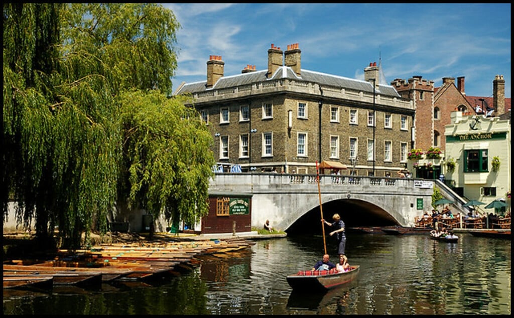 The Mill Pond