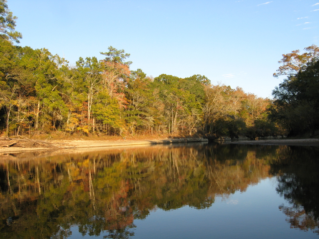 Edisto River - panoramio