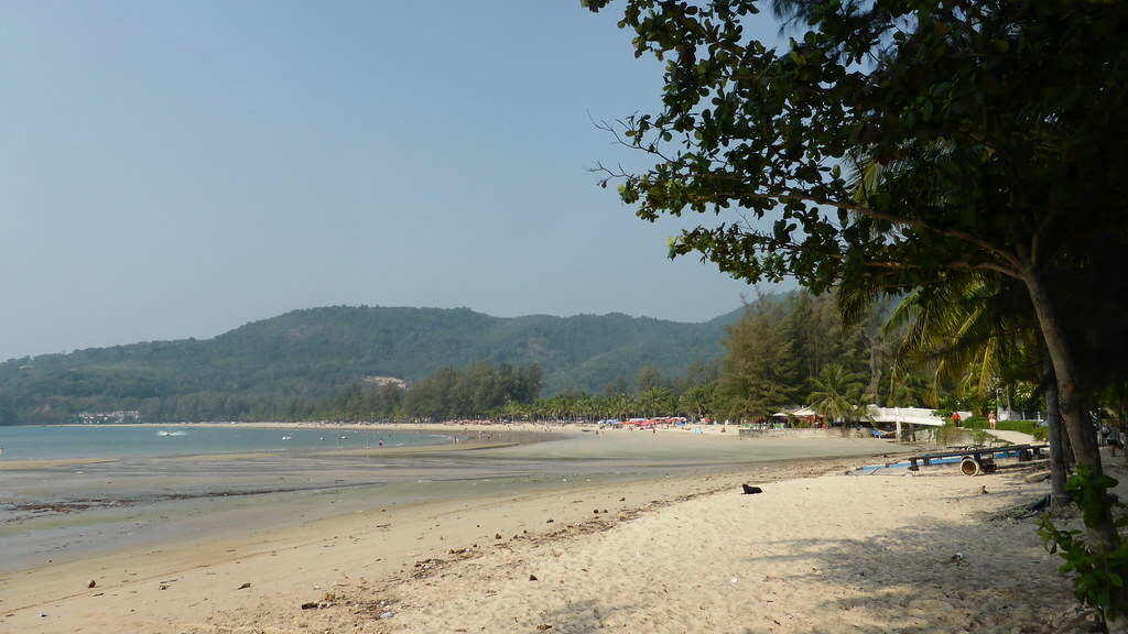 P1010530