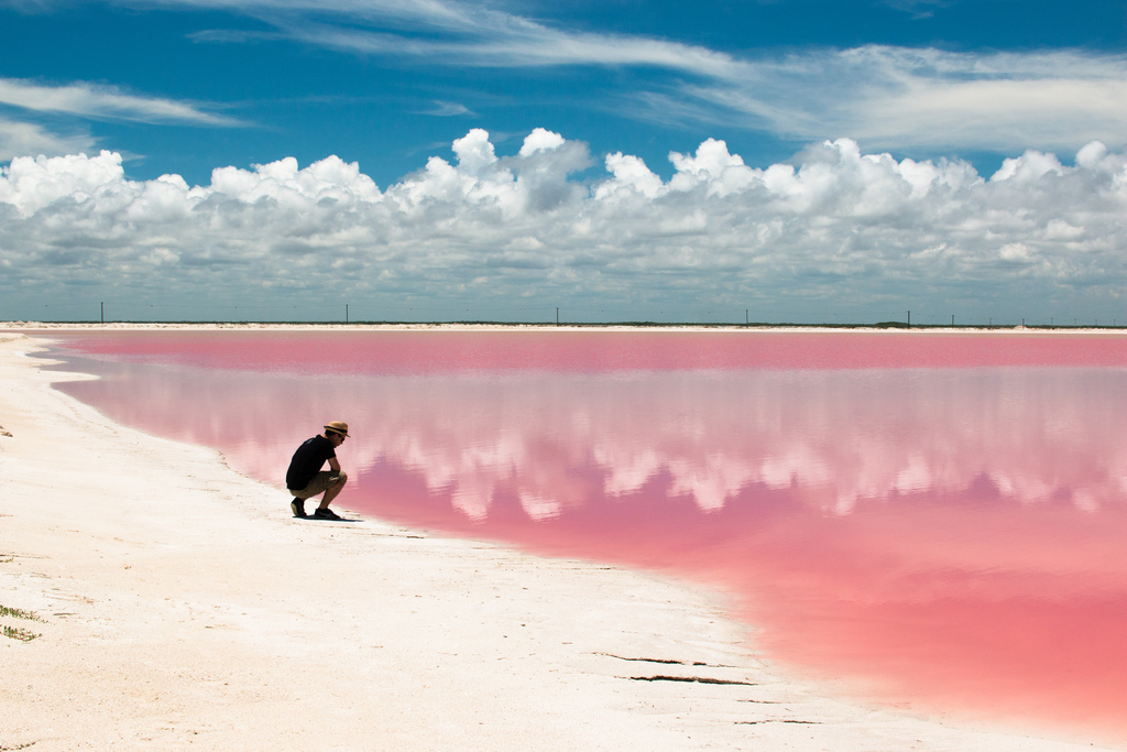Las Coloradas 435436