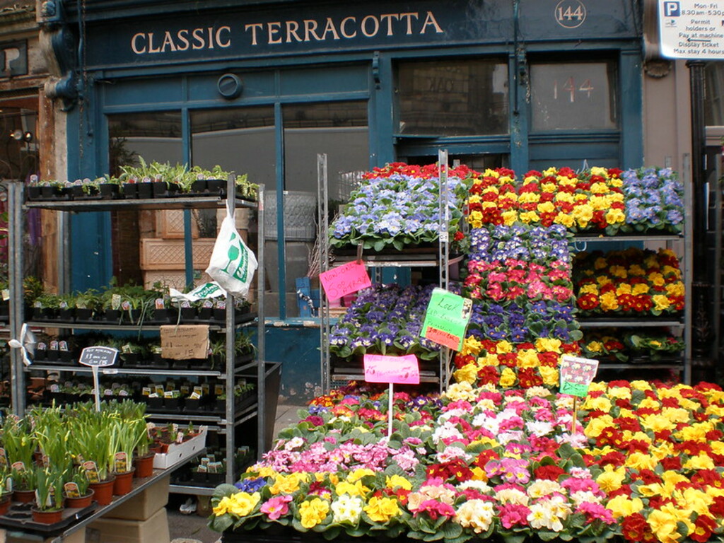 Columbia Road Flower Market
