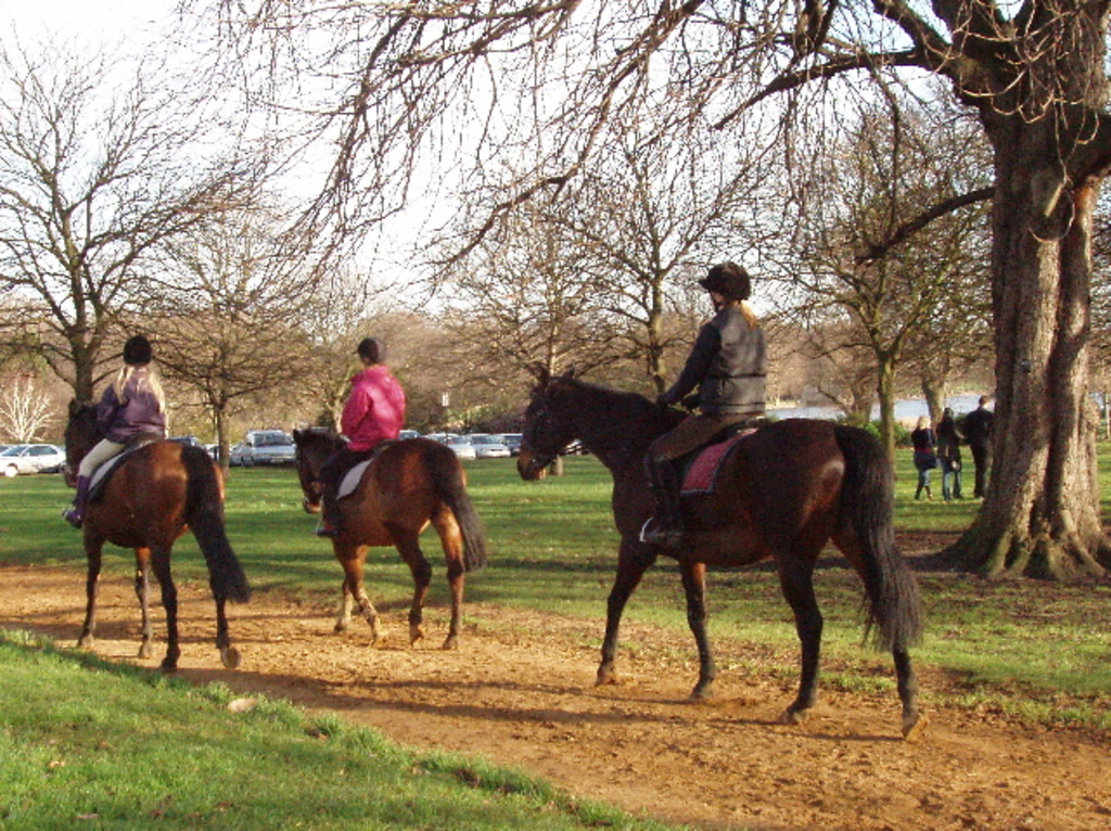 Horse riders in Hyde Park - geograph.org.uk - 313112