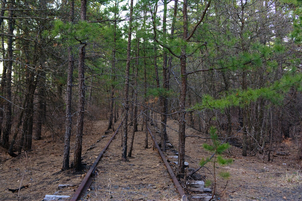 Pine Barrens Tracks 2