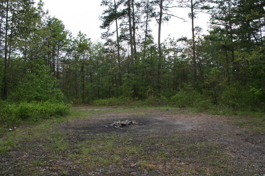 DevilsTrampingGround.jdh