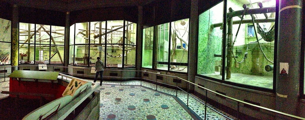 Ménagerie - Jardin des Plantes 1, November 20, 2012