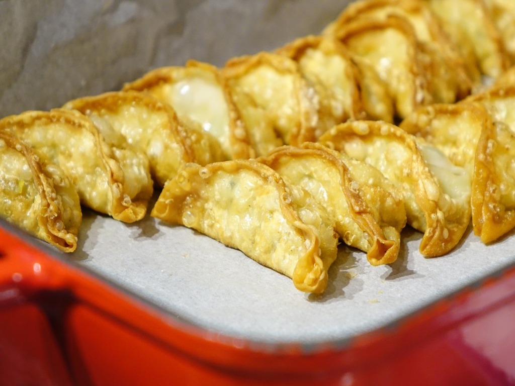 Gyoza dumplings