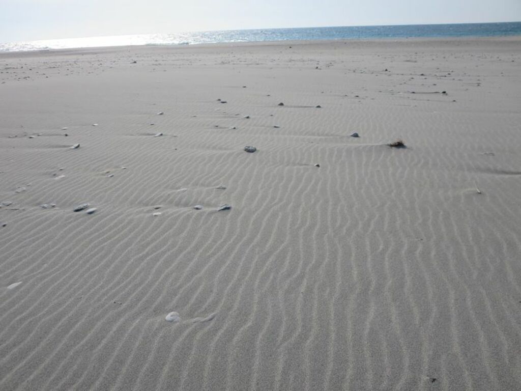 Run along the Nakatajima Sand Dunes