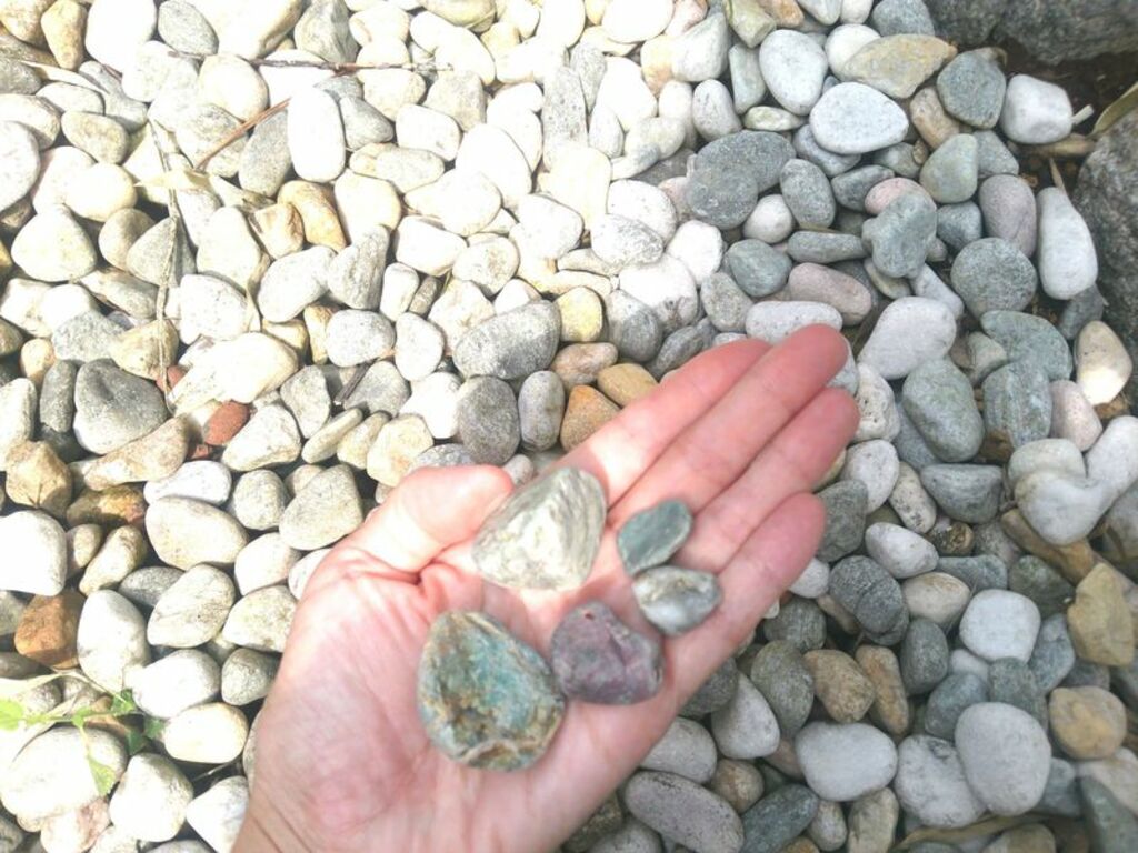 Hunt for precious jade stones at Miyazaki-Sakai Beach