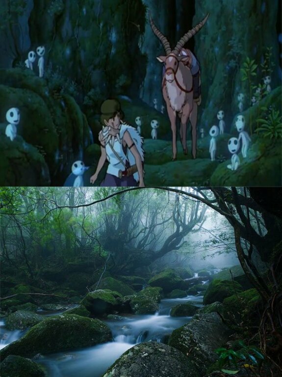 Mononoke forest, Yakushima island