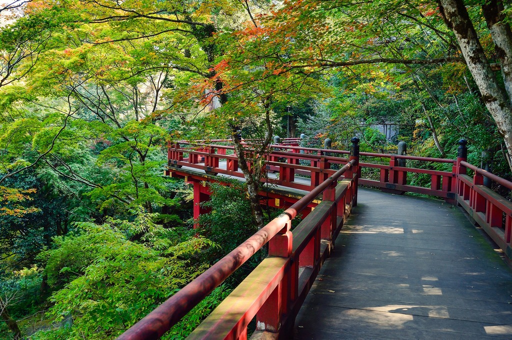 Japan landscape