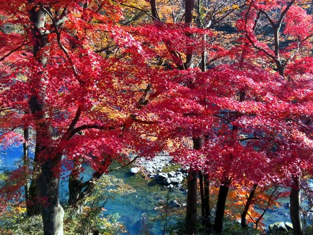 Zen out in the heart of nature at Ranzan Keikoku