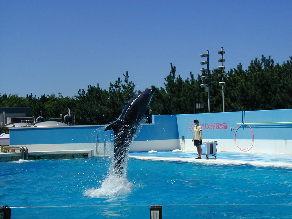 マリンピア新潟 (Marinepia niigata) 2007年8月 - panoramio