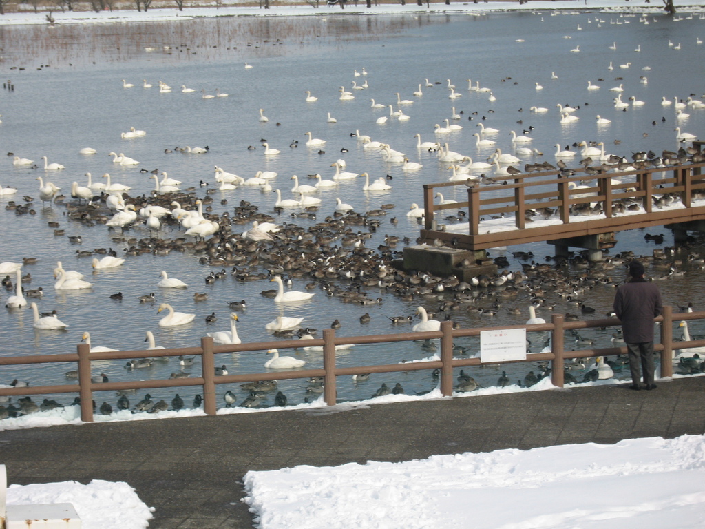 Lake Hyōko 03