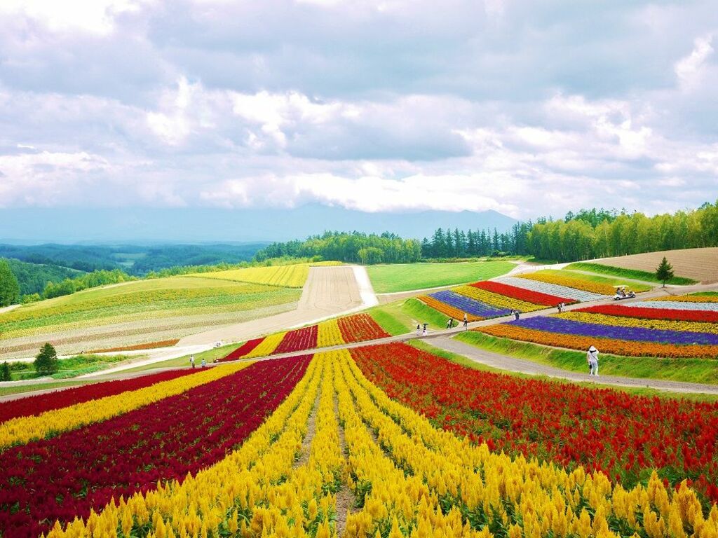 Most Beautiful Villages And Towns In Japan You Must Visit